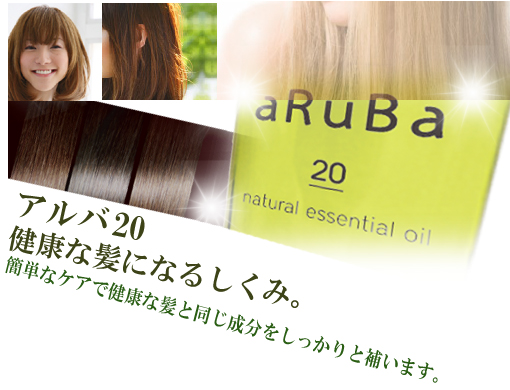 アルバ20健康な髪になるしくみ。簡単なケアで健康な髪と同じ成分をしっかりと補います。